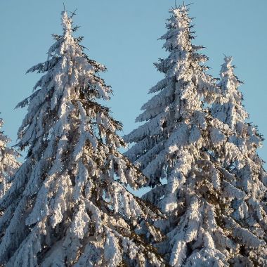 难忘冬季 全球各地那些最震撼心灵的雪景