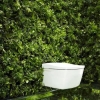 把卫生间变成花园 置身绿色的世界