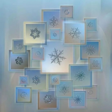 <b>外国小哥花九年时间 只为拍一朵雪花</b>