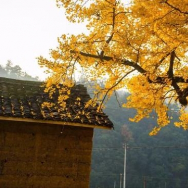 <b>杭州的最美秋色 藏了大半在富阳</b>